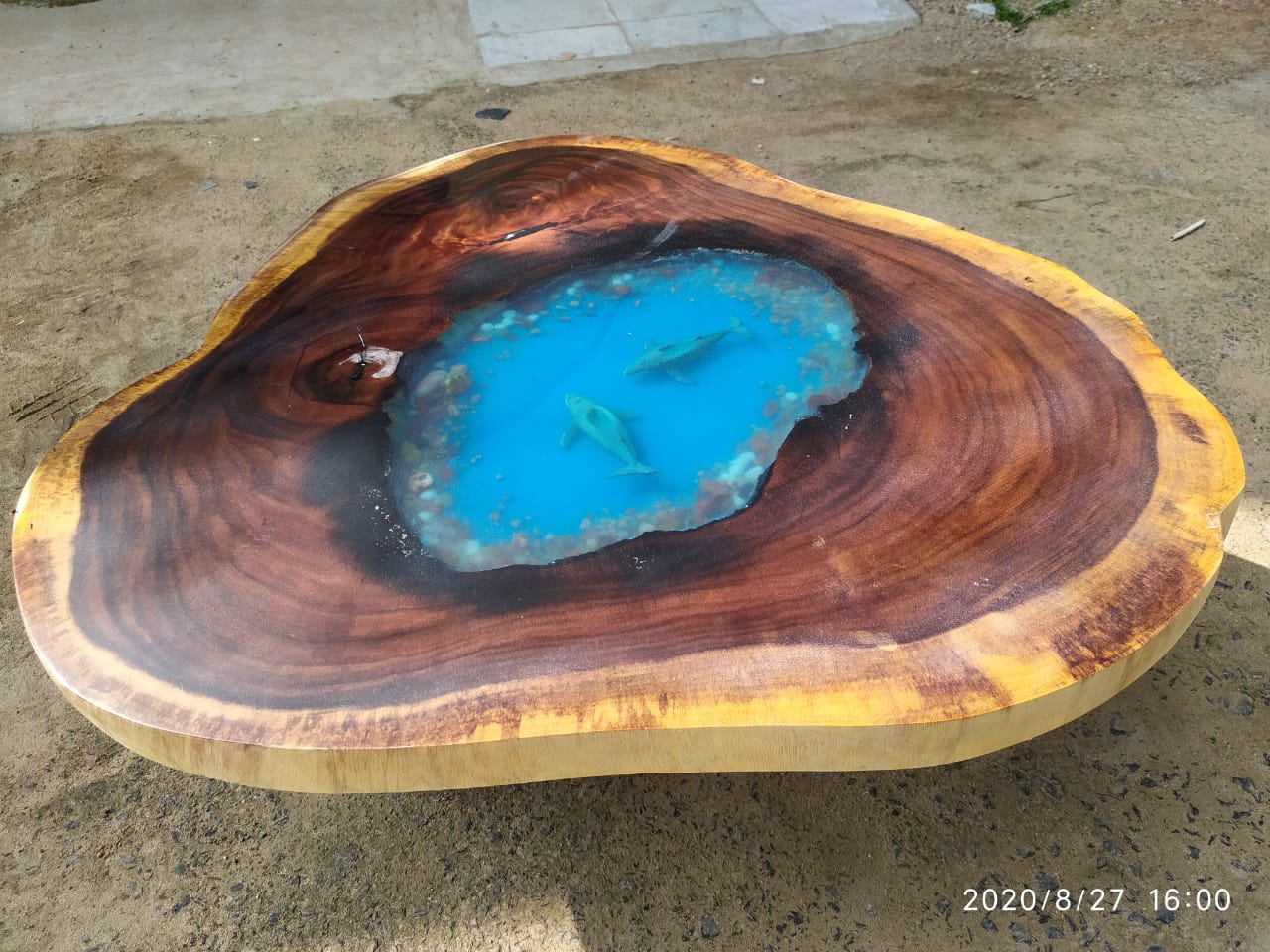 EPOXY ROUND ROUND TABLE Dia 42” 30-40mm (RAIN TREE WOOD) - 65